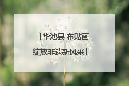 华池县 布贴画绽放非遗新风采