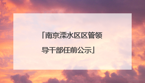 南京溧水区区管领导干部任前公示