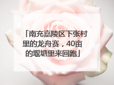 南充嘉陵区下张村里的龙舟赛，40亩的堰塘里来回跑