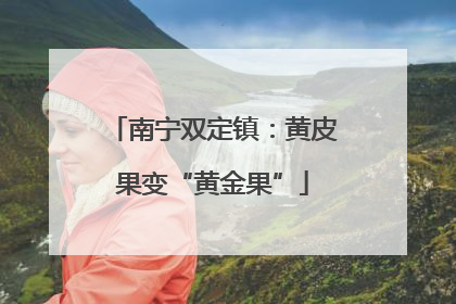 南宁双定镇：黄皮果变“黄金果”