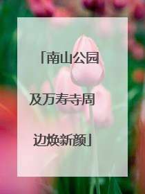南山公园及万寿寺周边焕新颜