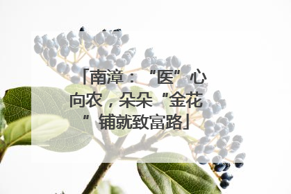 南漳：“医”心向农，朵朵“金花”铺就致富路