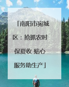 南阳市宛城区：抢抓农时保夏收 贴心服务助生产