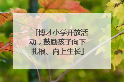 博才小学开放活动，鼓励孩子向下扎根、向上生长