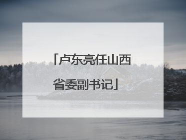 卢东亮任山西省委副书记