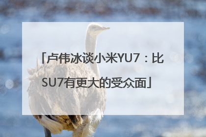 卢伟冰谈小米YU7：比SU7有更大的受众面