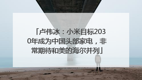 卢伟冰：小米目标2030年成为中国头部家电，非常期待和美的海尔并列