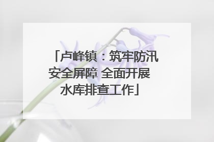 卢峰镇：筑牢防汛安全屏障 全面开展水库排查工作