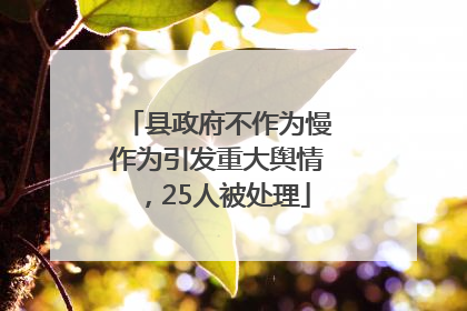 县政府不作为慢作为引发重大舆情，25人被处理