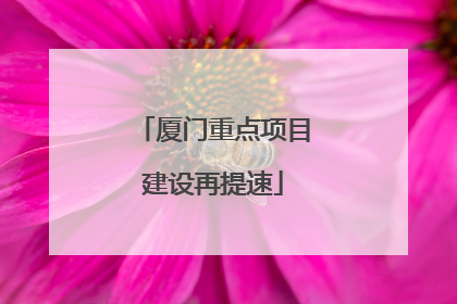 厦门重点项目建设再提速