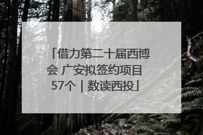 借力第二十届西博会 广安拟签约项目57个｜数读西投