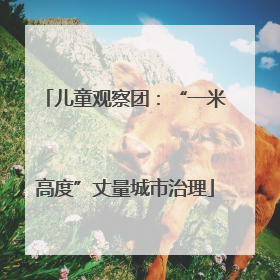 儿童观察团：“一米高度”丈量城市治理