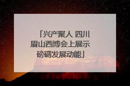 兴产聚人 四川眉山西博会上展示磅礴发展动能