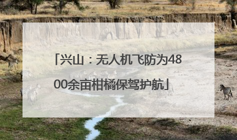 兴山：无人机飞防为4800余亩柑橘保驾护航