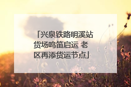 兴泉铁路明溪站货场鸣笛启运 老区再添货运节点