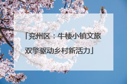 兖州区：牛楼小镇文旅双擎驱动乡村新活力