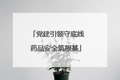 党建引领守底线 药品安全筑根基