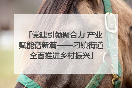 党建引领聚合力 产业赋能谱新篇——刁镇街道全面推进乡村振兴