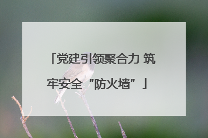 党建引领聚合力 筑牢安全“防火墙”