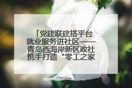 党建联建搭平台 就业服务进社区——青岛西海岸新区政社携手打造“零工之家”就业服务新阵地