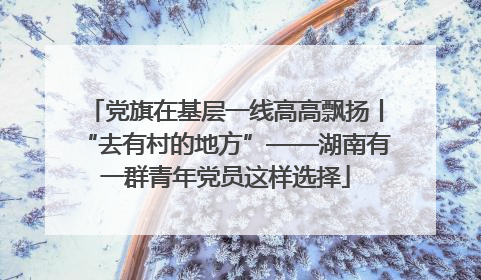 党旗在基层一线高高飘扬丨“去有村的地方”——湖南有一群青年党员这样选择