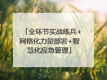 全环节实战练兵+网格化力量部署+智慧化应急管理