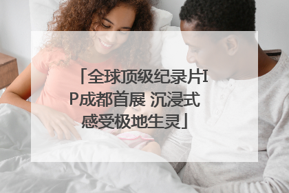全球顶级纪录片IP成都首展 沉浸式感受极地生灵
