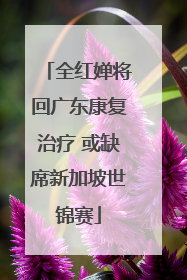 全红婵将回广东康复治疗 或缺席新加坡世锦赛