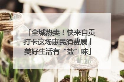 全城热卖！快来自贡打卡这场惠民消费展丨美好生活有“盐”味