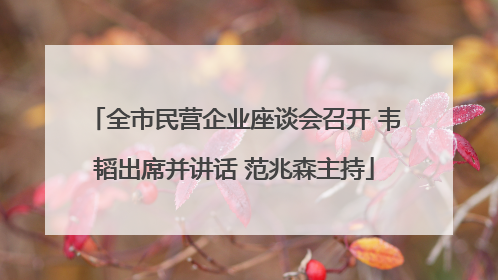 全市民营企业座谈会召开 韦韬出席并讲话 范兆森主持