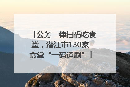 公务一律扫码吃食堂，潜江市130家食堂“一码通刷”