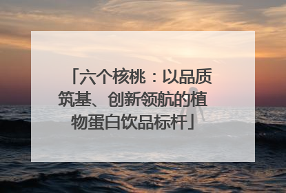 六个核桃：以品质筑基、创新领航的植物蛋白饮品标杆