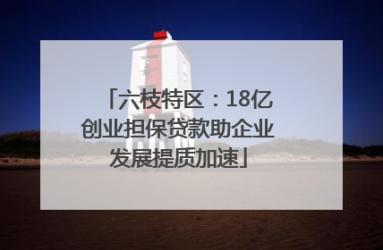 六枝特区：18亿创业担保贷款助企业发展提质加速