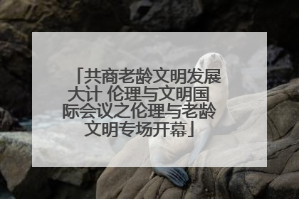 共商老龄文明发展大计 伦理与文明国际会议之伦理与老龄文明专场开幕