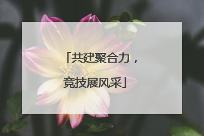 共建聚合力，竞技展风采