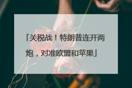 关税战！特朗普连开两炮，对准欧盟和苹果