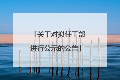 关于对拟任干部进行公示的公告