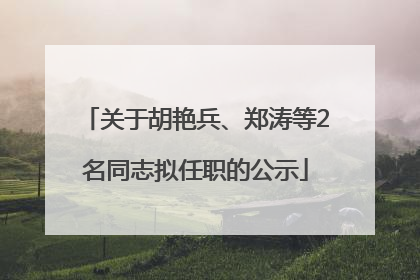 关于胡艳兵、郑涛等2名同志拟任职的公示