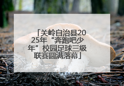 关岭自治县2025年“奔跑吧少年”校园足球三级联赛圆满落幕