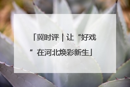 冀时评｜让“好戏”在河北焕彩新生