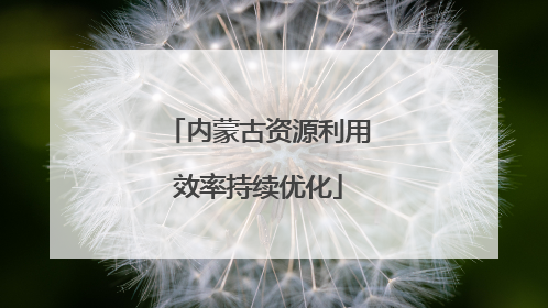 内蒙古资源利用效率持续优化