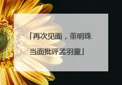 再次见面，董明珠当面批评孟羽童