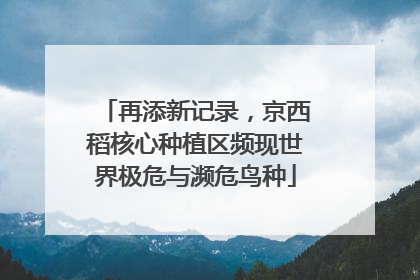 再添新记录，京西稻核心种植区频现世界极危与濒危鸟种