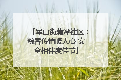 军山街蒲潭社区：粽香传情暖人心 安全相伴度佳节