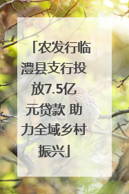 农发行临澧县支行投放7.5亿元贷款 助力全域乡村振兴