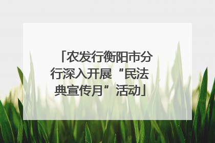 农发行衡阳市分行深入开展“民法典宣传月”活动