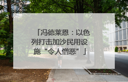 冯德莱恩：以色列打击加沙民用设施“令人憎恶”