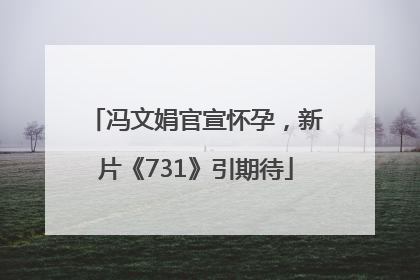 冯文娟官宣怀孕，新片《731》引期待