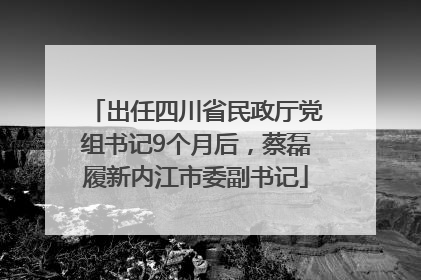出任四川省民政厅党组书记9个月后，蔡磊履新内江市委副书记