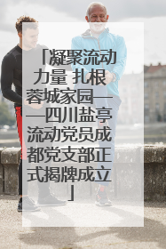 凝聚流动力量 扎根蓉城家园——四川盐亭流动党员成都党支部正式揭牌成立